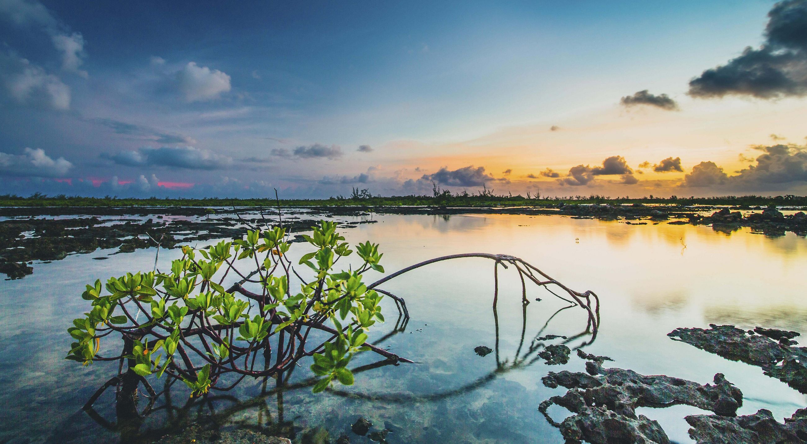 Climate goal image 1