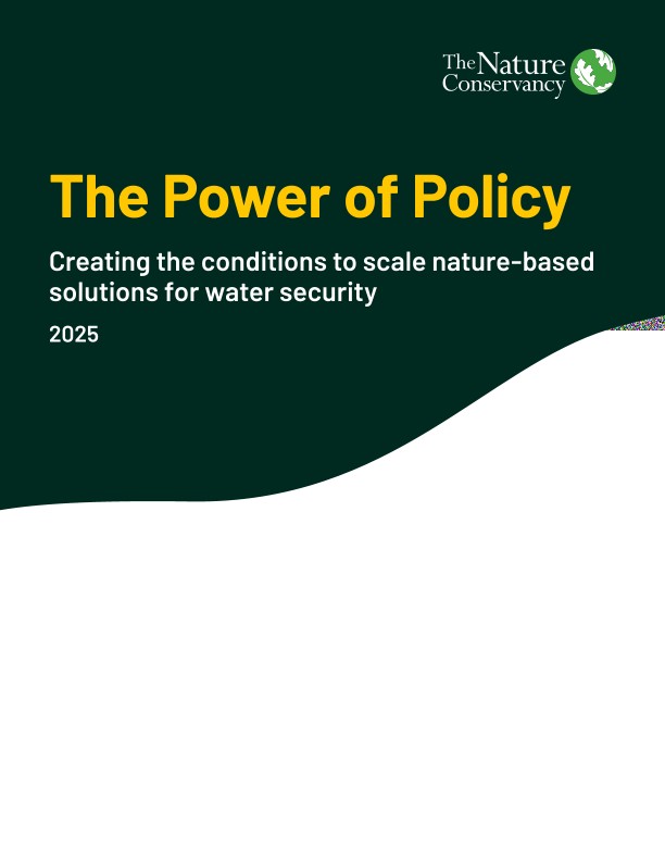 The Power of Policy